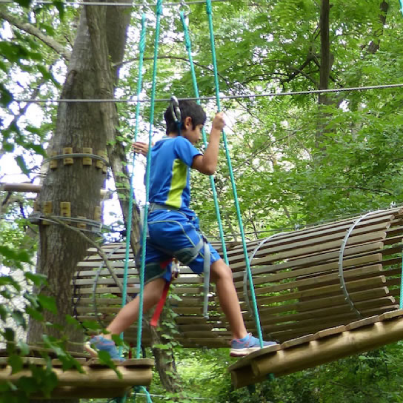 garçon faisant un parcours d'accrobranche